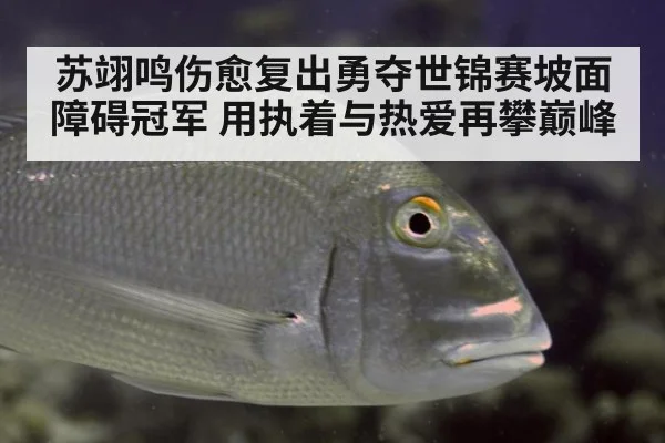 苏翊鸣伤愈复出勇夺世锦赛坡面障碍冠军 用执着与热爱再攀巅峰
